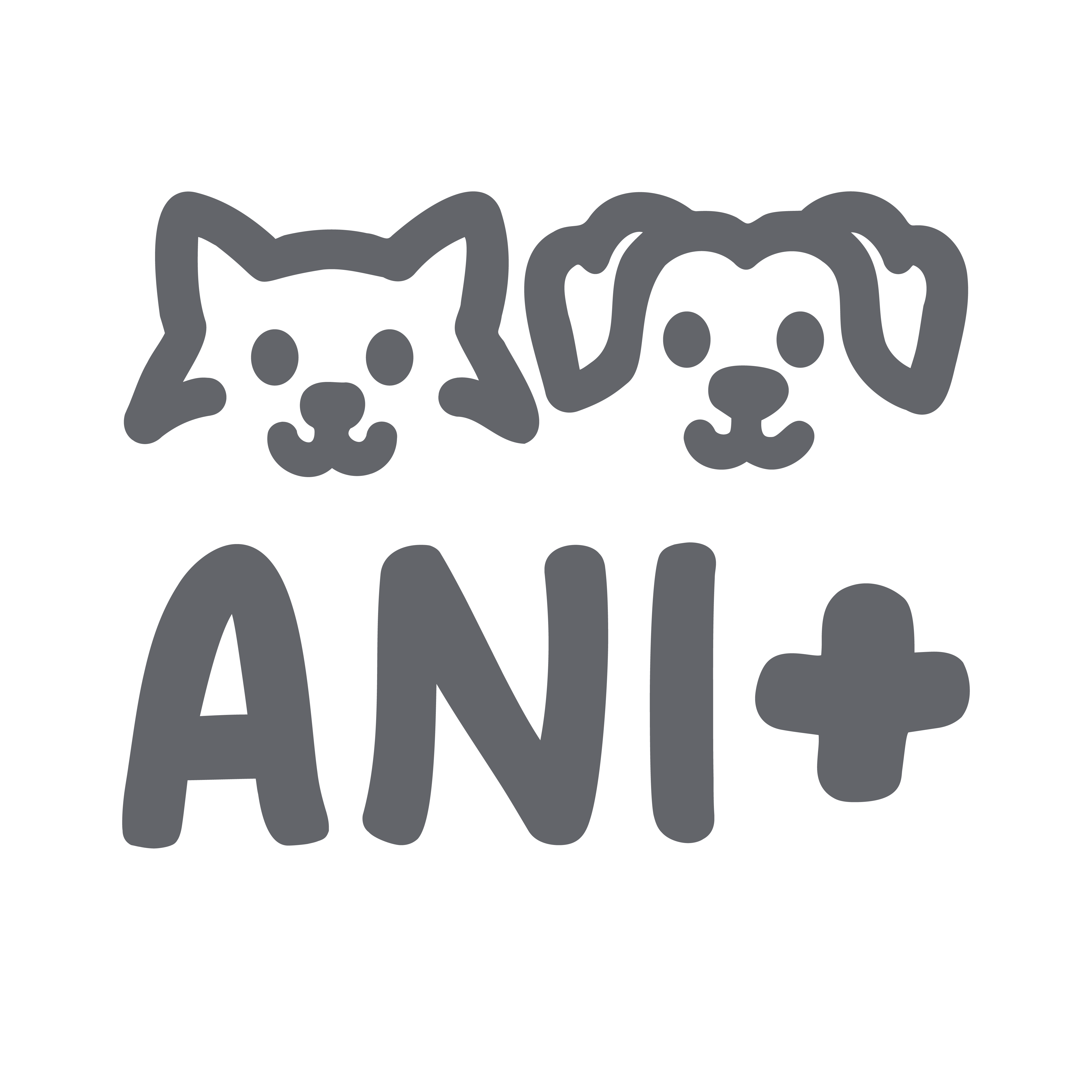 ANI+